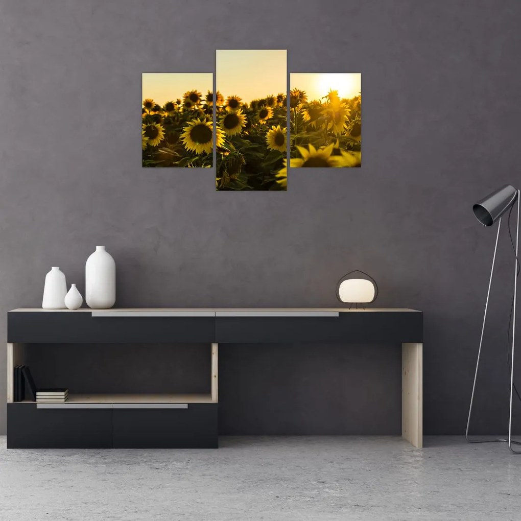 Tablou cu lan de floarea soarelui (90x60 cm)