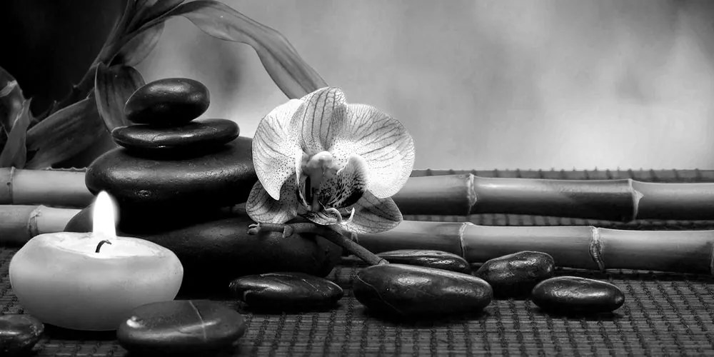 Tablou natura moartă Feng Shui în design alb-negru
