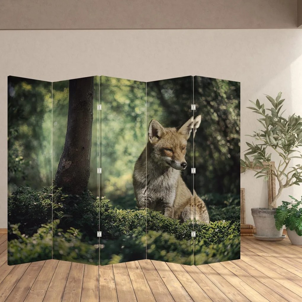 Paravan - Vulpe (210x170 cm)