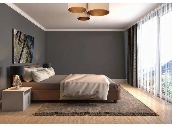 Plafonieră SPACE 3xE27/60W/230V bej/auriu