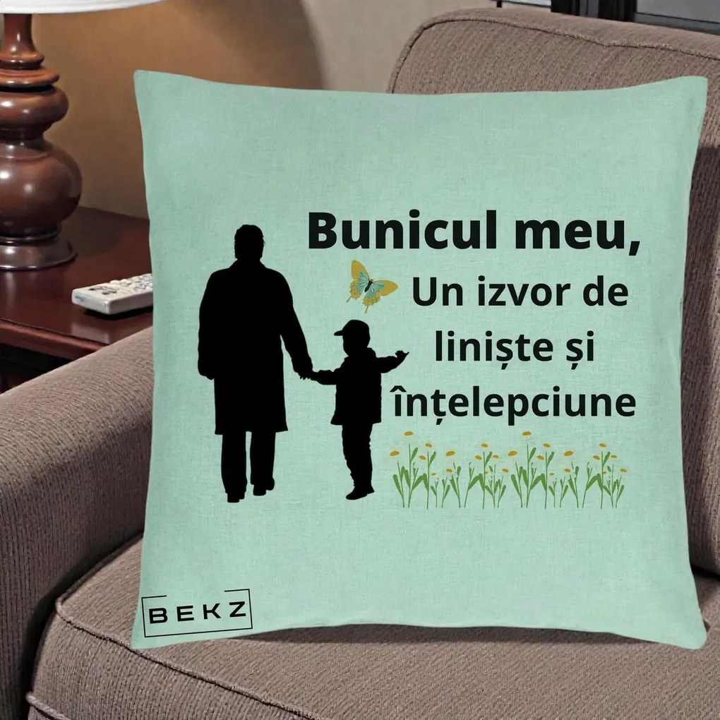 Cadou pentru Bunic - Perna Personalizata Bunicul Meu Izvor de Liniste cu Fluture si Baietel, 40x40 cm, Verde Menta, Husa Detasabila, Perna Inclusa, BEKZ®