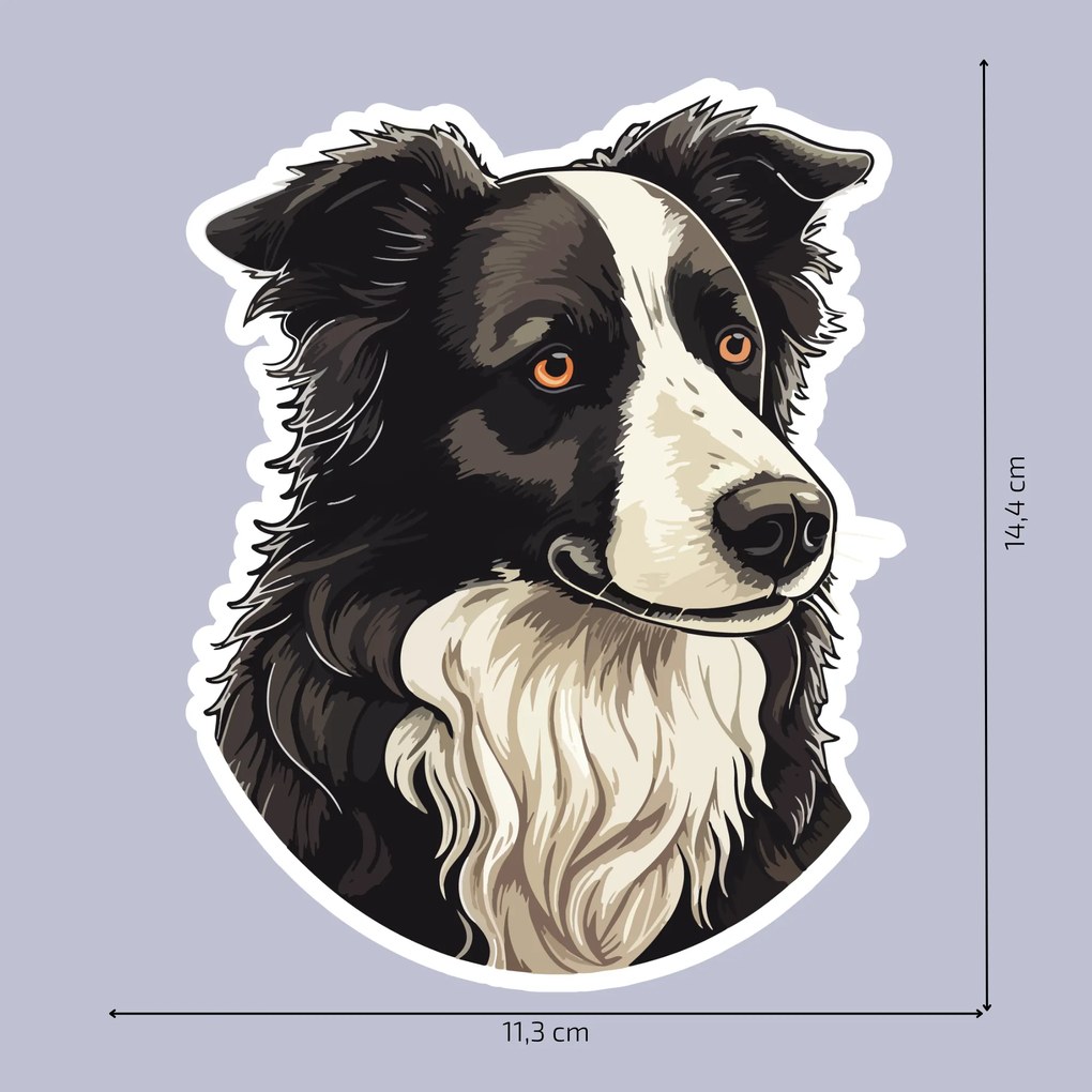 PIPPER. Autocolant Border Collie mărimea: 60cm