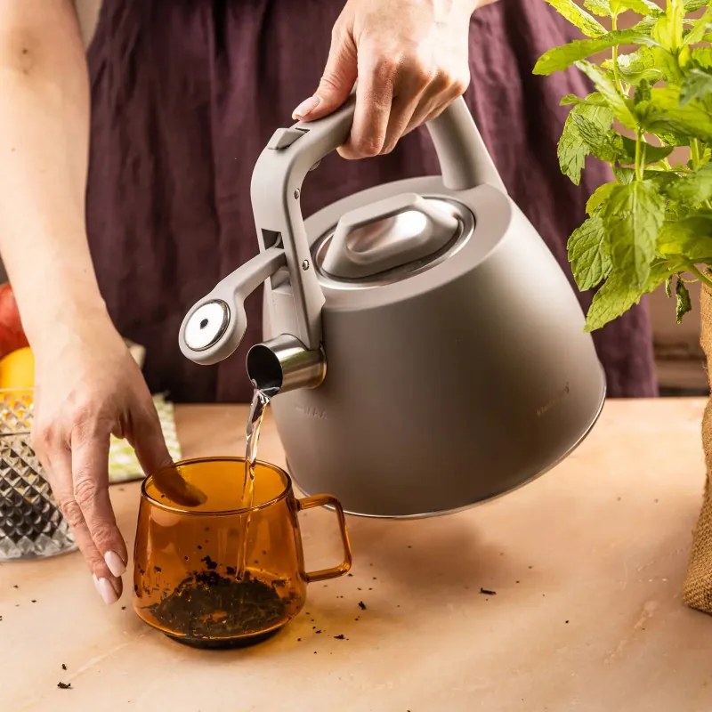 Ceainic cu fluier Klausberg KB 7916, 2.5 l, Maner izolat termic, Inductie, Gri