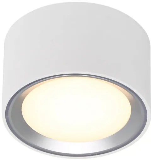 Plafonieră LED dimabilă Nordlux FALLON LED/5,5W/230V 2700K