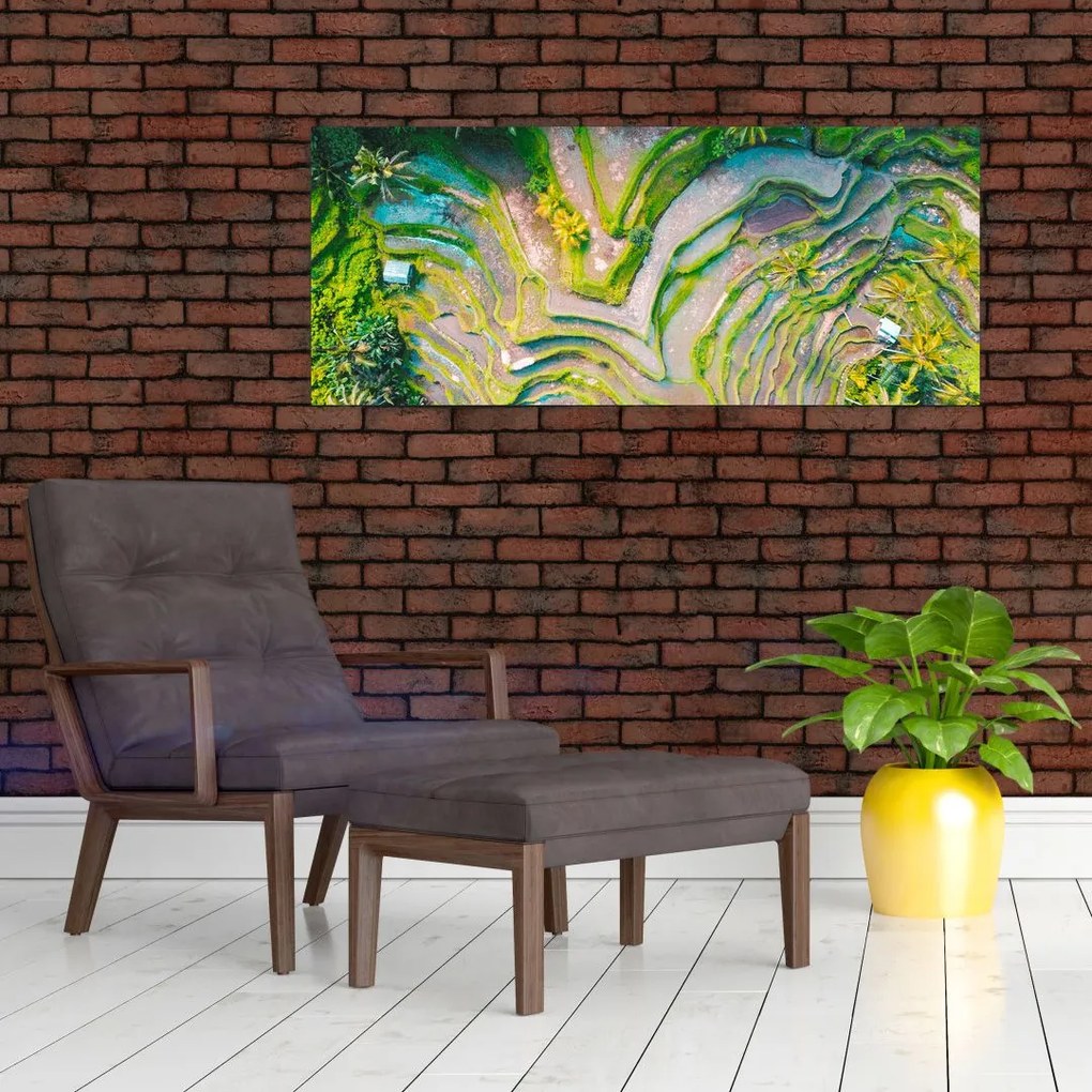 Tablou cu lanuri de orez din privire de sus (120x50 cm)