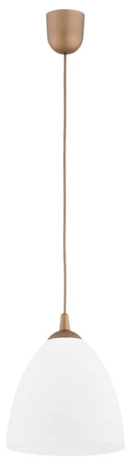 Lustră pe cablu LERA 1xE27/15W/230V auriu