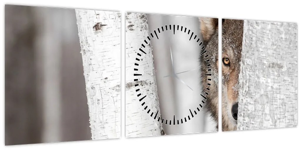 Tablou - Lup (cu ceas) (90x30 cm)