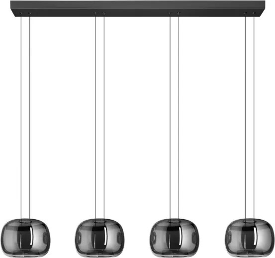 Eglo 390433 - Lustră LED dimabilă HORTUNAS pe cablu, 4 x LED, 5,8 W, 230 V, negru/fumuriu