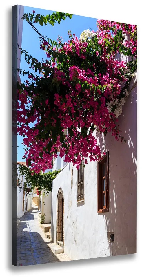 Tablou canvas Rhodes Grecia