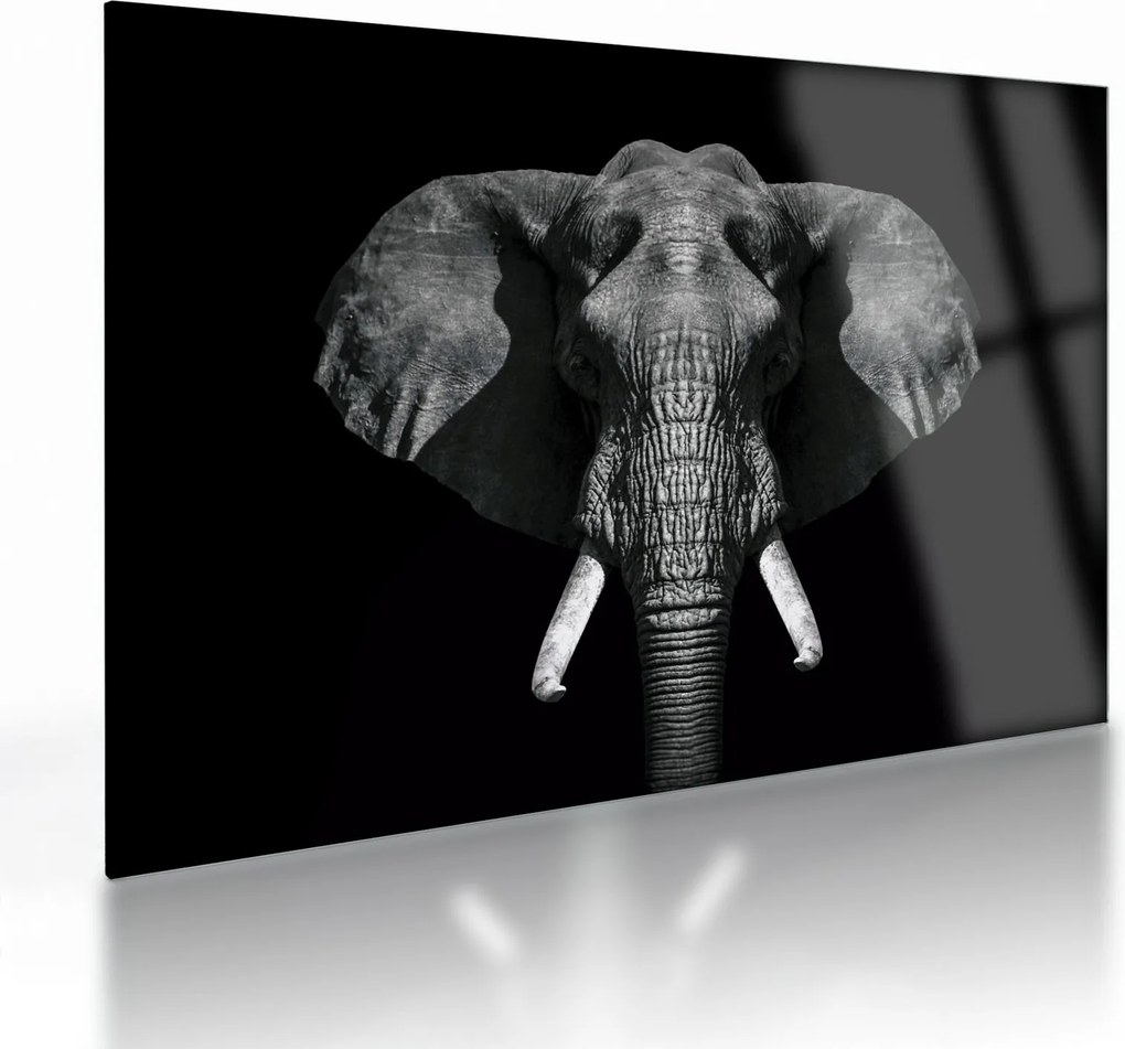 Tablou pe sticlă - Elefant pe fundal negru (70x50 cm)