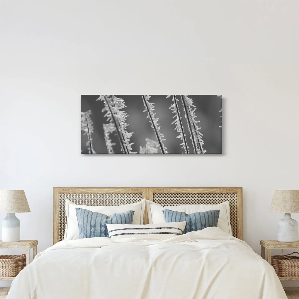 Tablou - Frig de îngheț (120x50 cm)