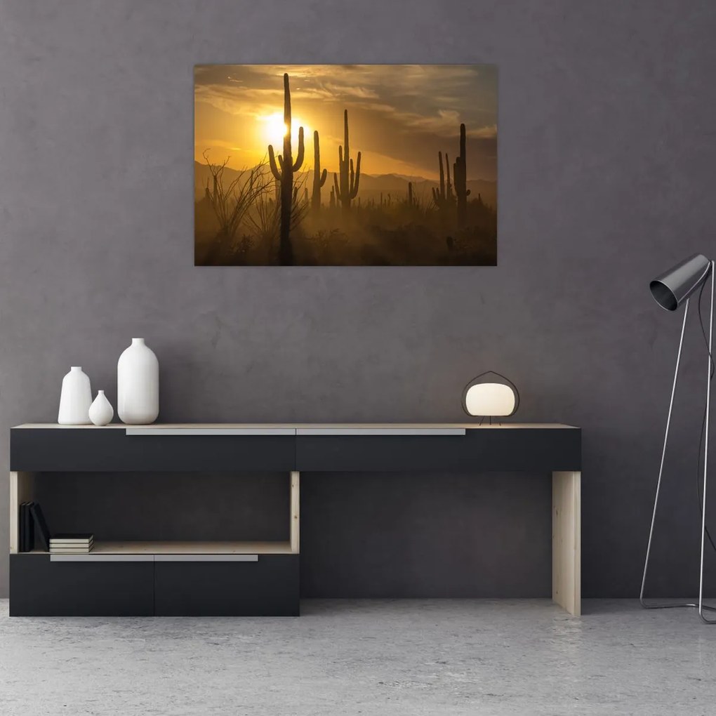 Tablou - Cactuși Saguaro (90x60 cm)
