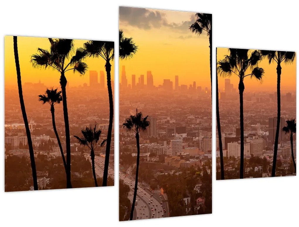 Tablou - Panorama din Los Angeles (90x60 cm)