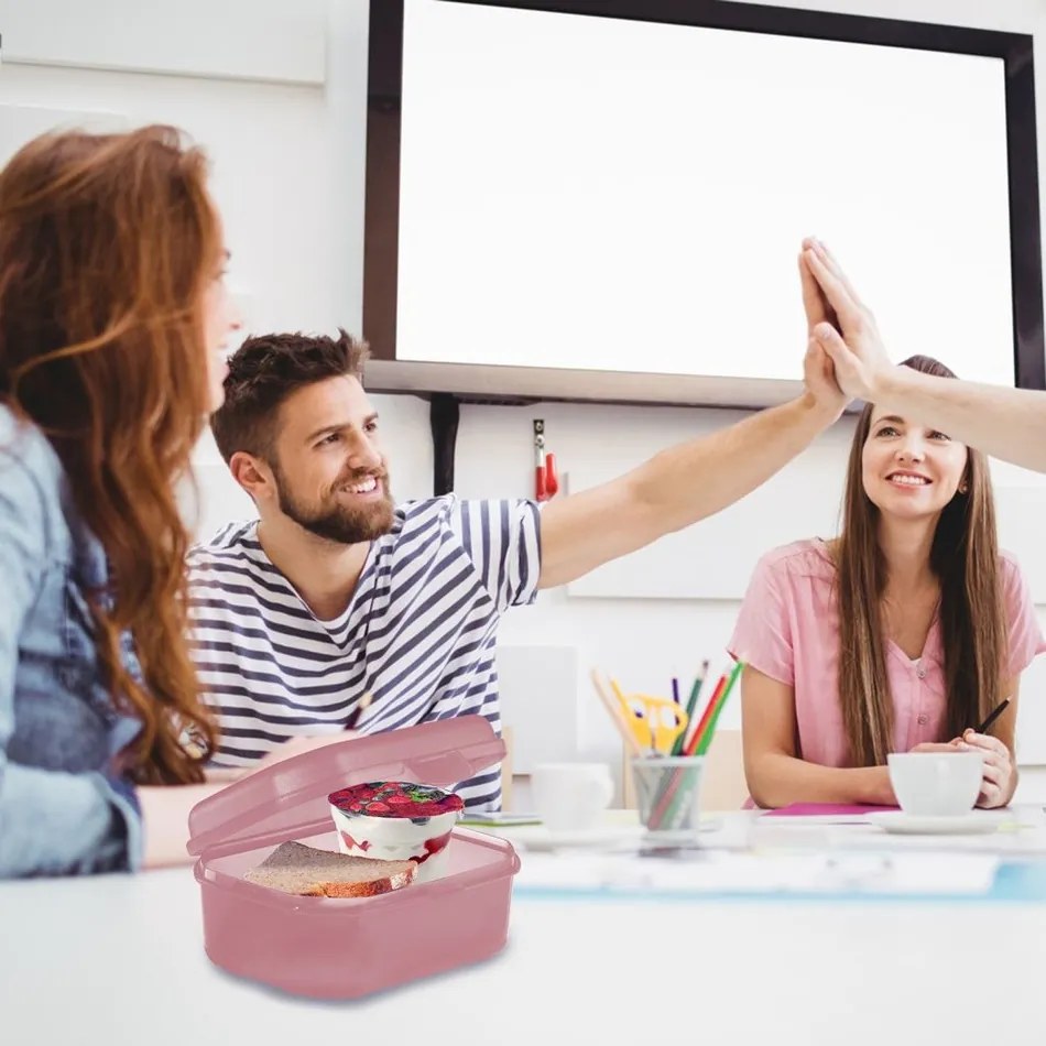 Cutie pentru gustări Westmark MAXI, 935 ml, roz, L