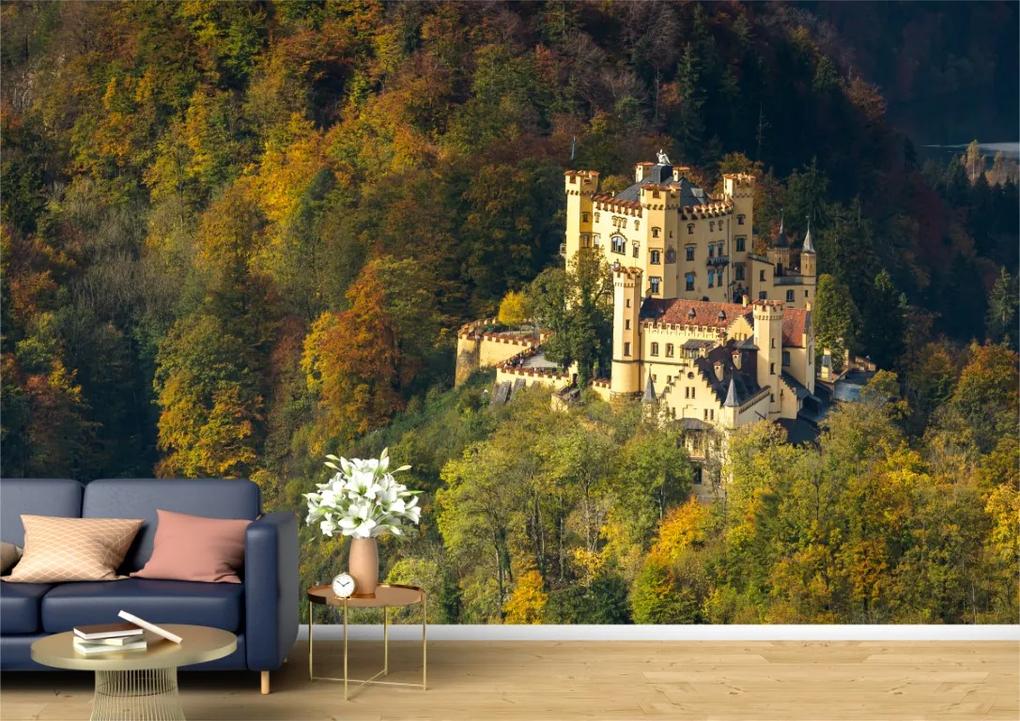 Tapet Premium Canvas - Castel bavarez