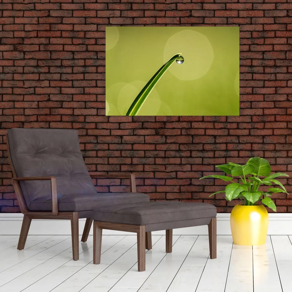 Tablou cu picătură de apă pe iarbă (90x60 cm)