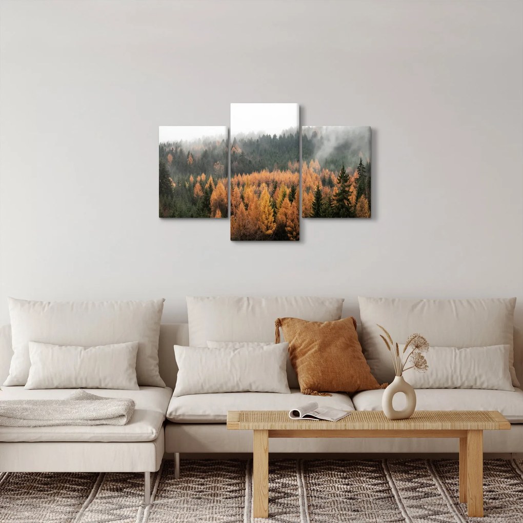 Tablou - Pădure toamna (90x60 cm)