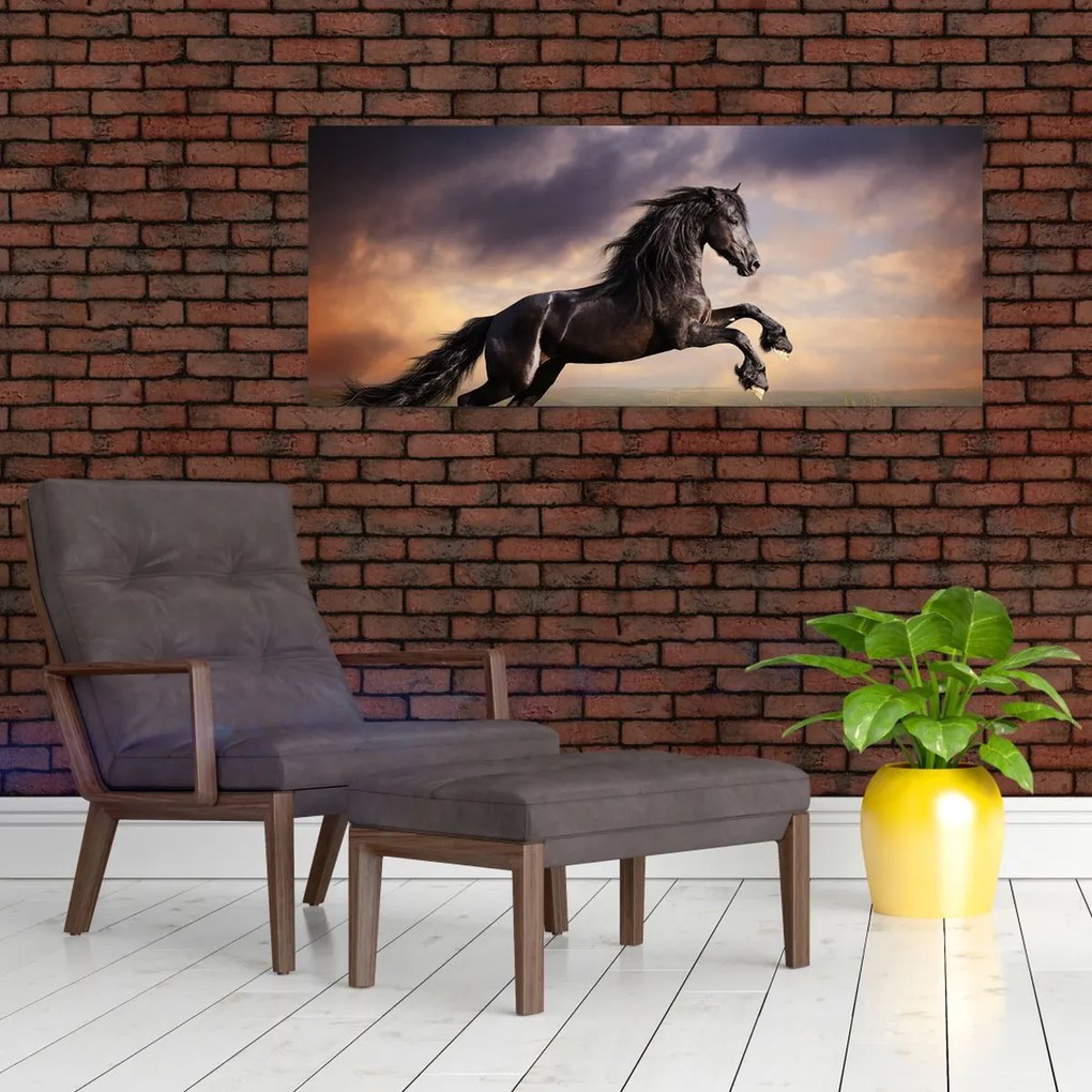 Tablou - Cai (120x50 cm)
