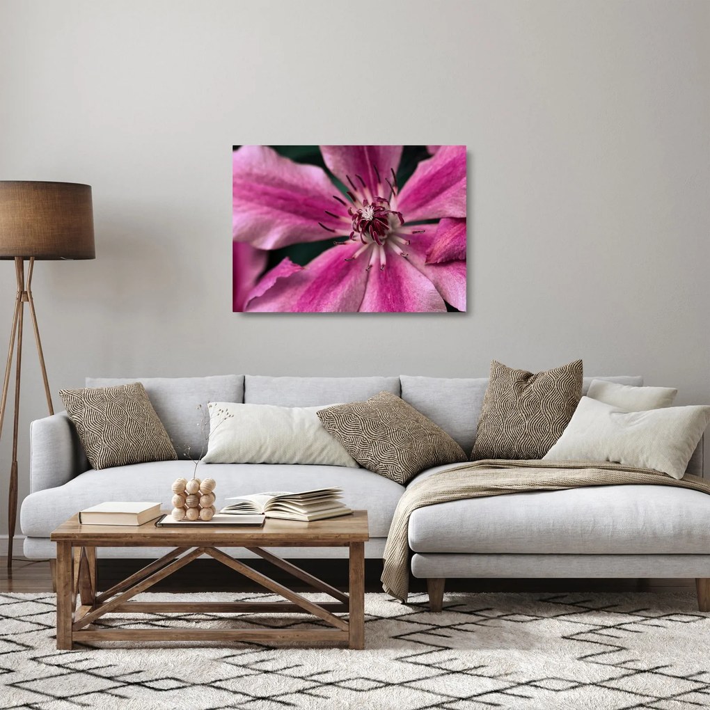 Tablou pe sticlă cu floarea roz de clematis (70x50 cm)