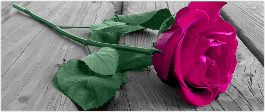 Tablou - Trandafir roz cu tulpina verde (120x50 cm)