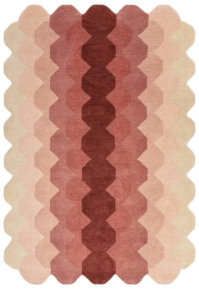 Covor roz din lână 160x230 cm Hive – Asiatic Carpets