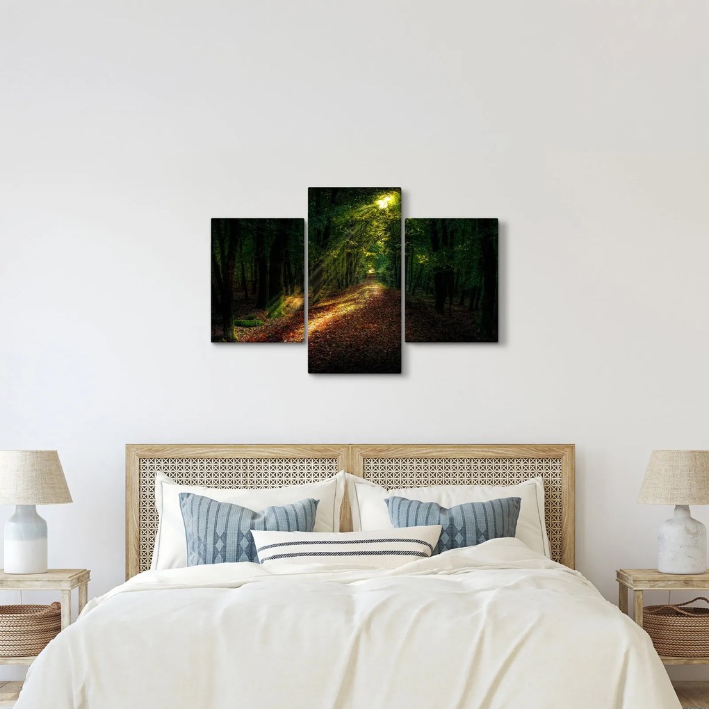 Tablou cu poteca prin pădure (90x60 cm)