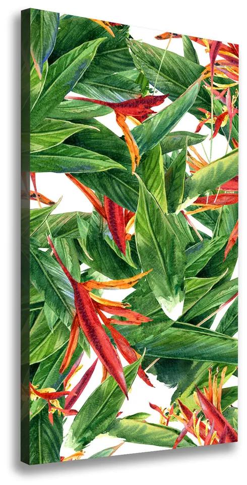 Imprimare tablou canvas Strelitzia reginae