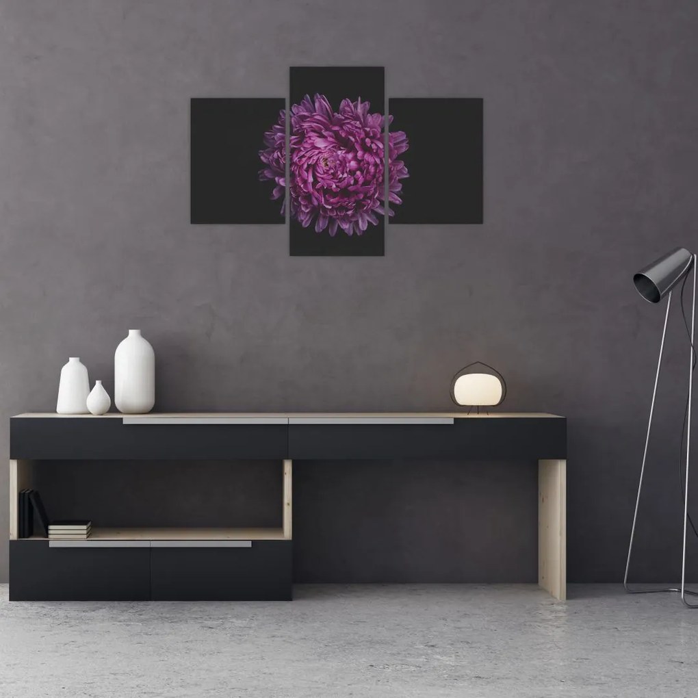 Tablou cu floare violetă (90x60 cm)