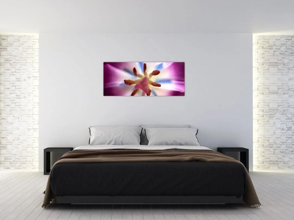 Tablou - Laleaua detailat (120x50 cm)