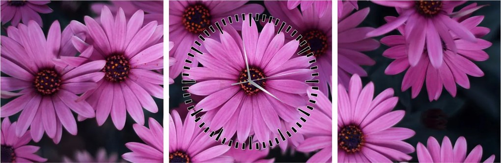 Tablou cu florile roz (cu ceas) (90x30 cm)