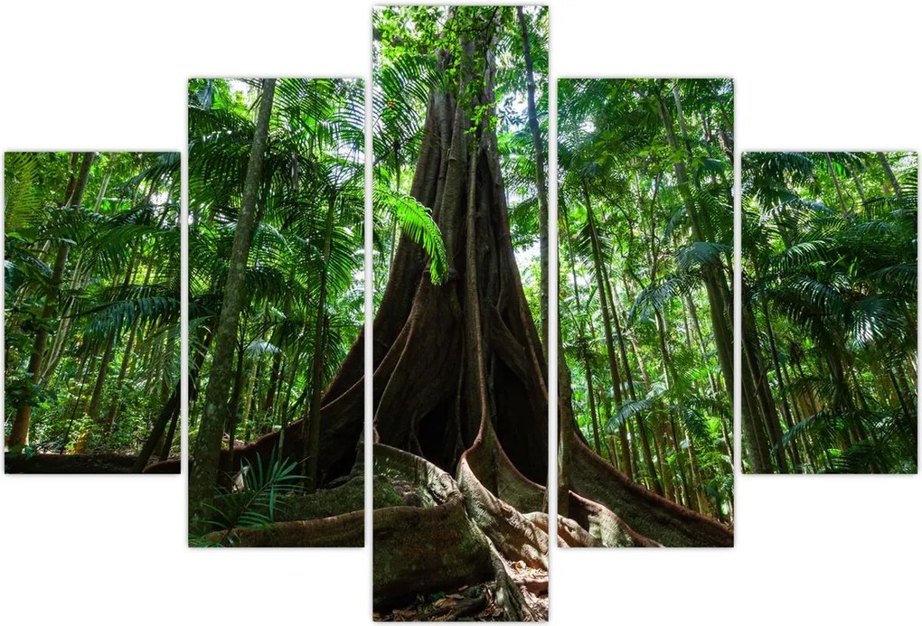 Tablou - Rădăcinile copacului (150x105 cm)