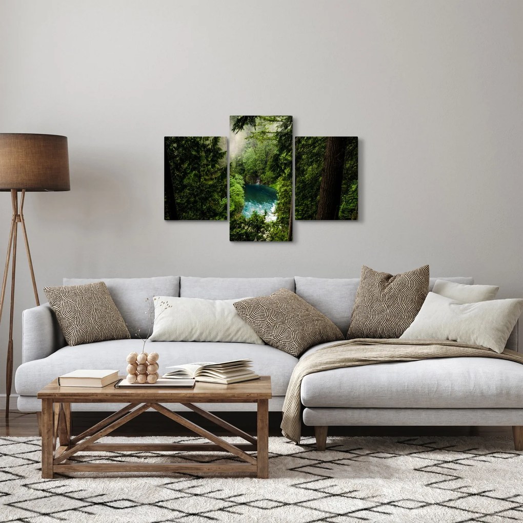 Tablou - Fereastra între copaci (90x60 cm)