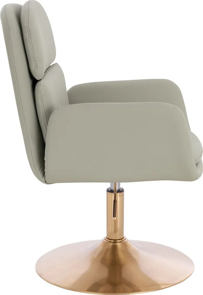 HR480N Scaun Culoarea Inului Piele Ecologica Premium Soft cu Bază Aurie