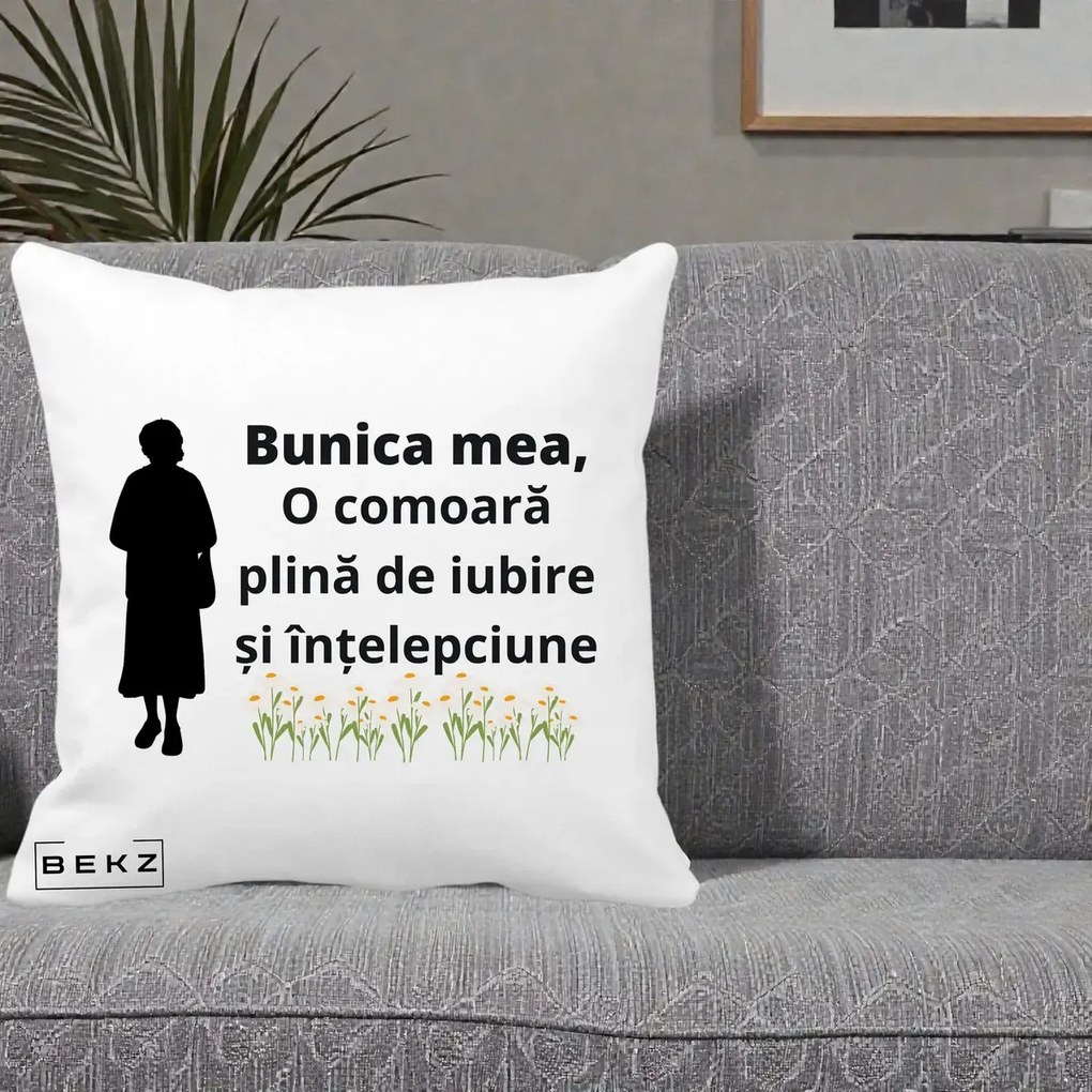 Cadou pentru Bunica - Perna Personalizata Bunica Mea Comoara Iubire Intelepciune Silueta cu Nepoata, 40x40 cm, Alba Mata, Husa Detasabila, Perna Inclusa, BEKZ®