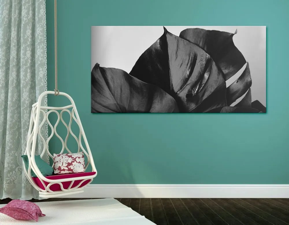 Tablou frunză de Philodendron alb-negru