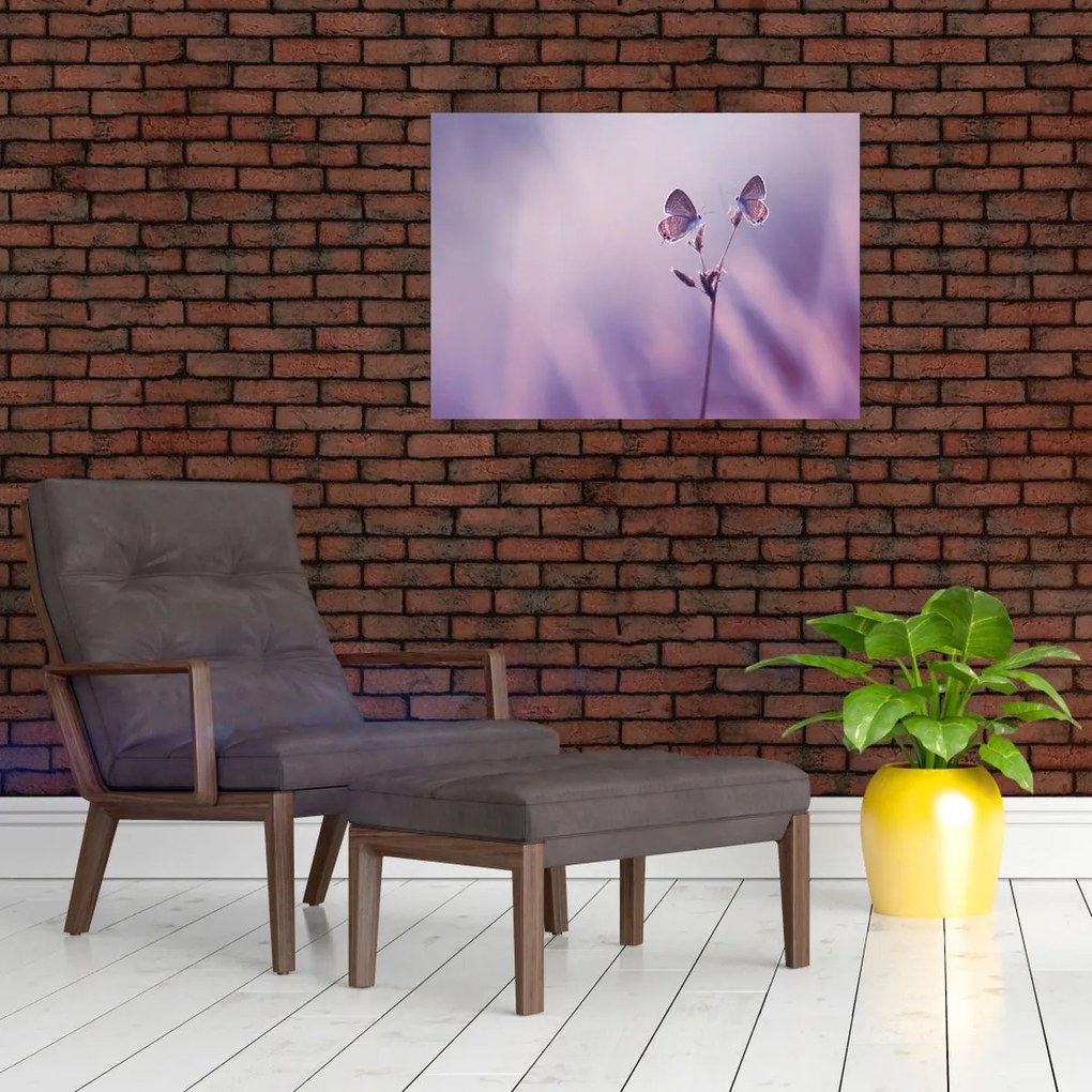 Tablou - Fluturi mov (70x50 cm)