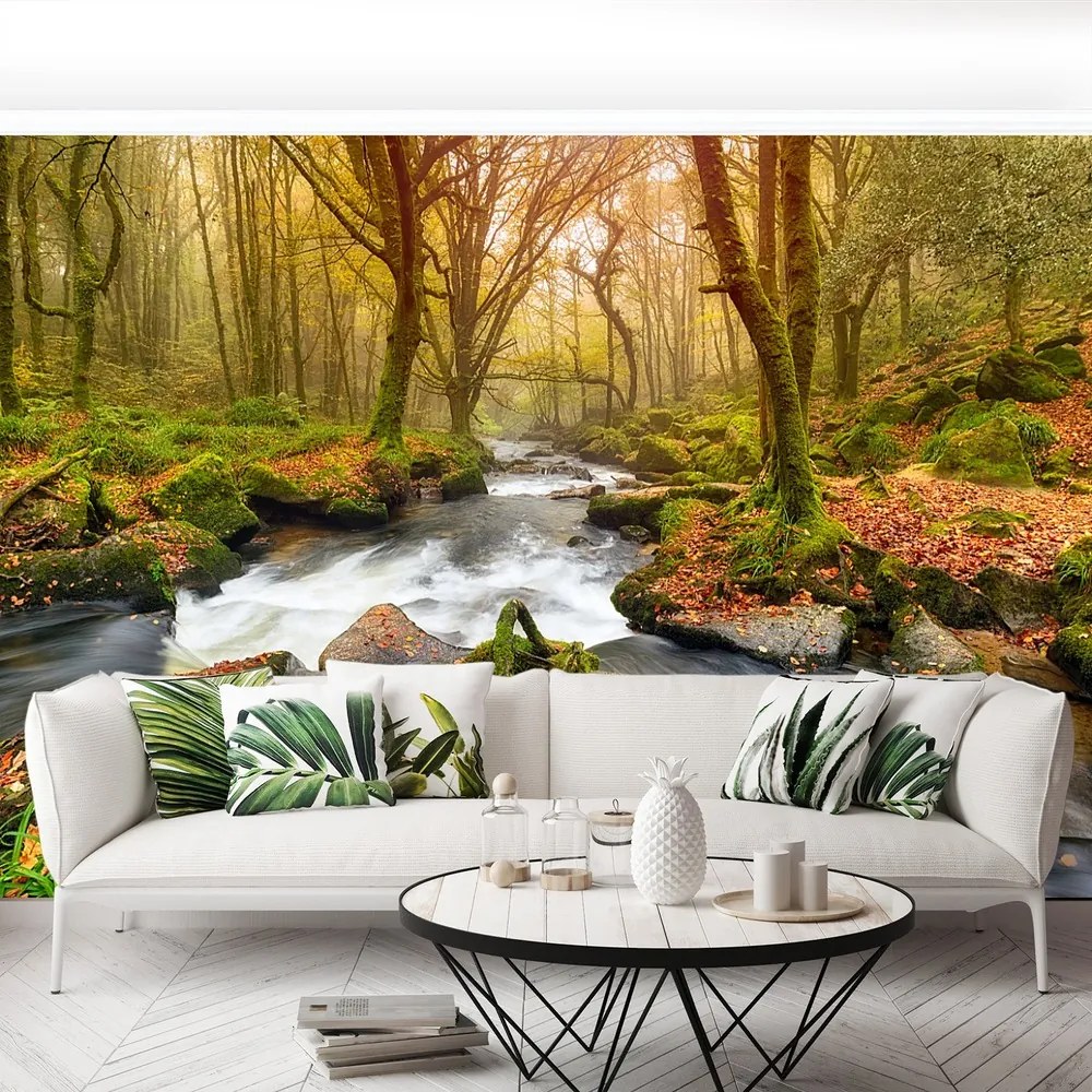 Fototapet River Forest