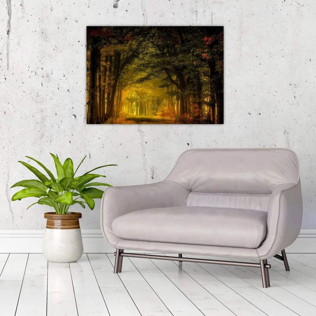 Tablou cu pădure (70x50 cm)