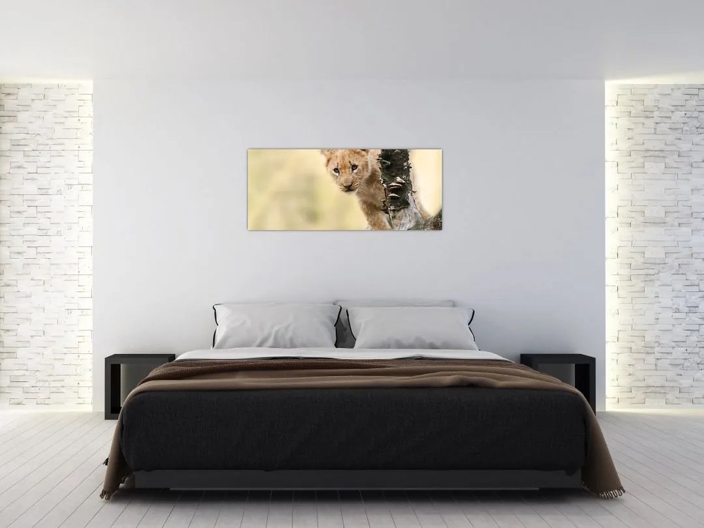 Tablou cu pui de leu (120x50 cm)