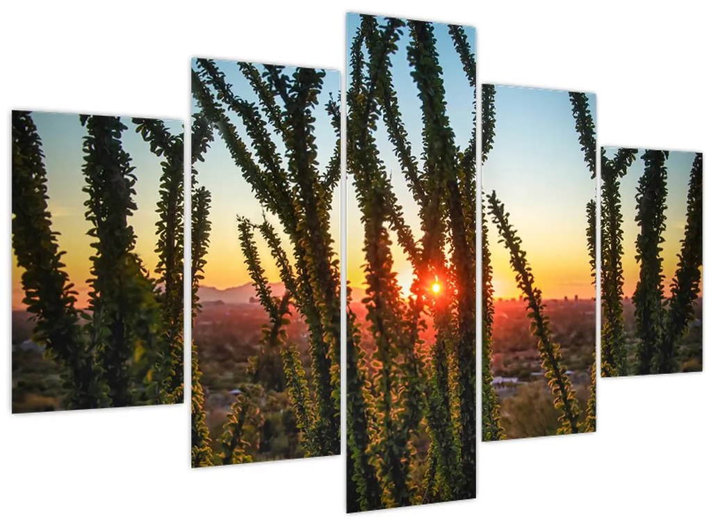 Tablou - Plante (150x105 cm)