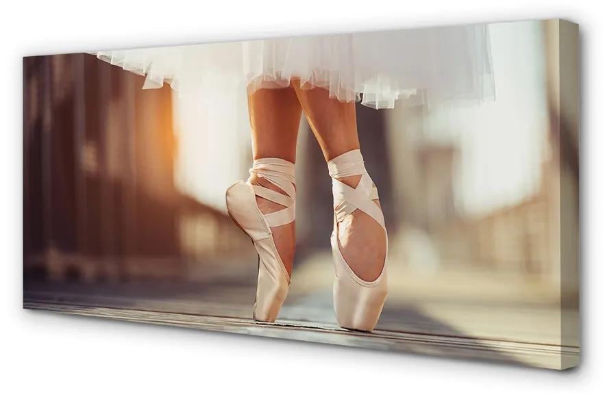 Tablouri canvas pantofi de balet alb picioare femei