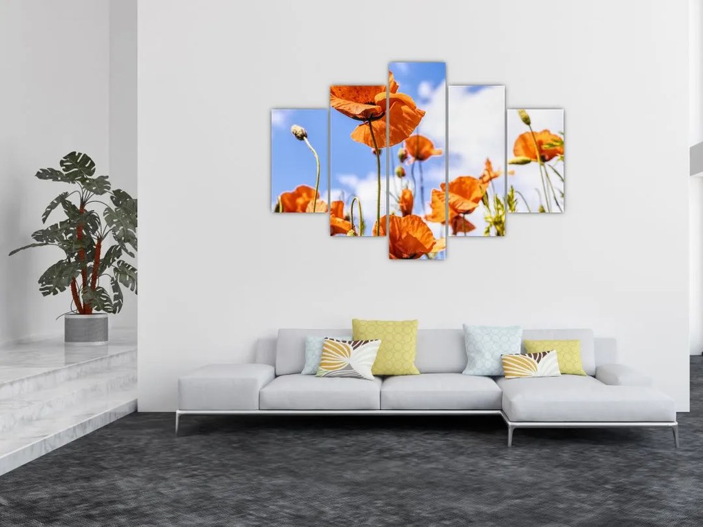 Tablou cu macii (150x105 cm)