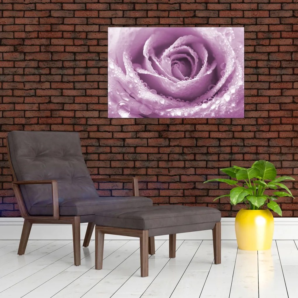 Tablou detaliu de floare de trandafir (90x60 cm)