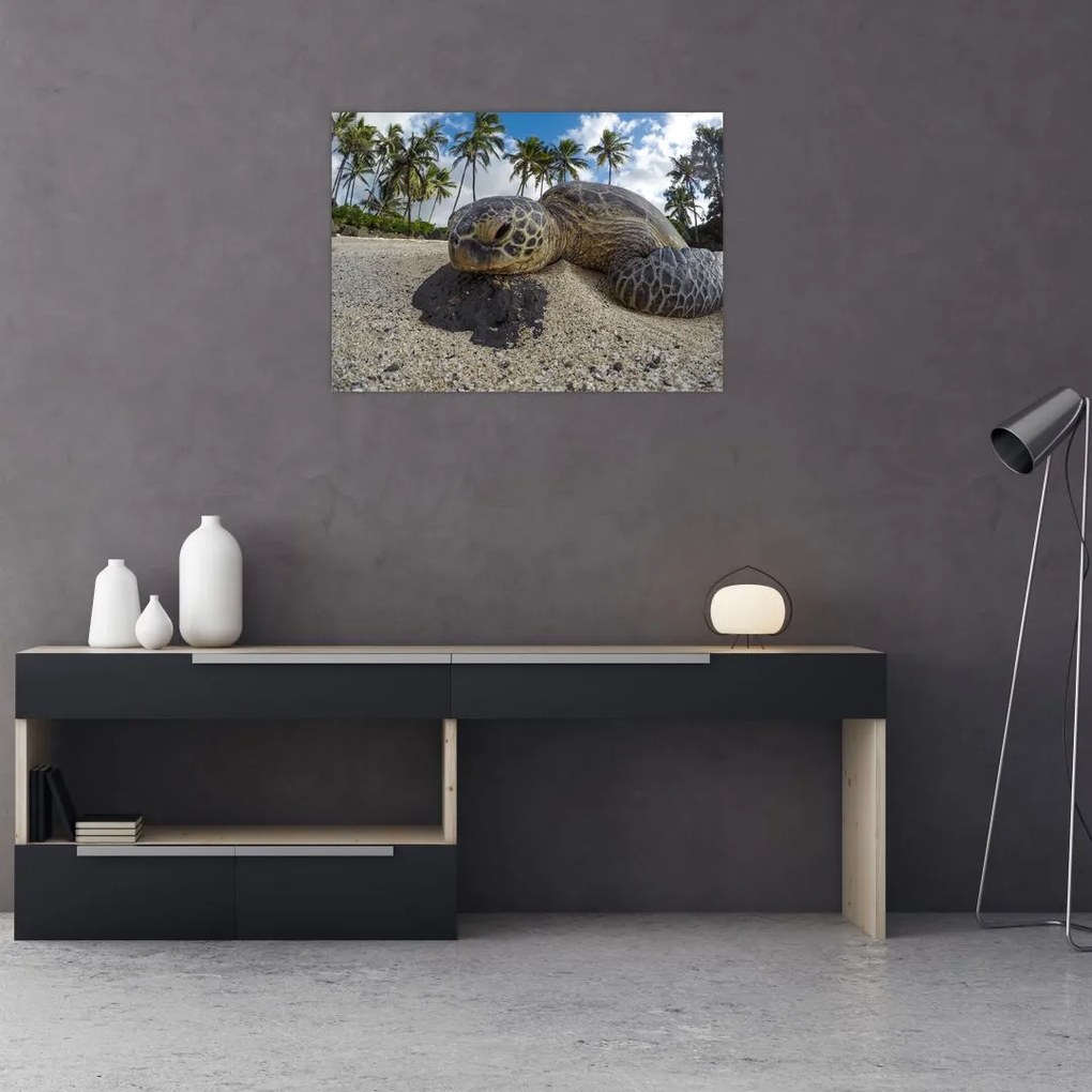 Tablou cu broască țestoasă (70x50 cm), în 40 de alte dimensiuni noi