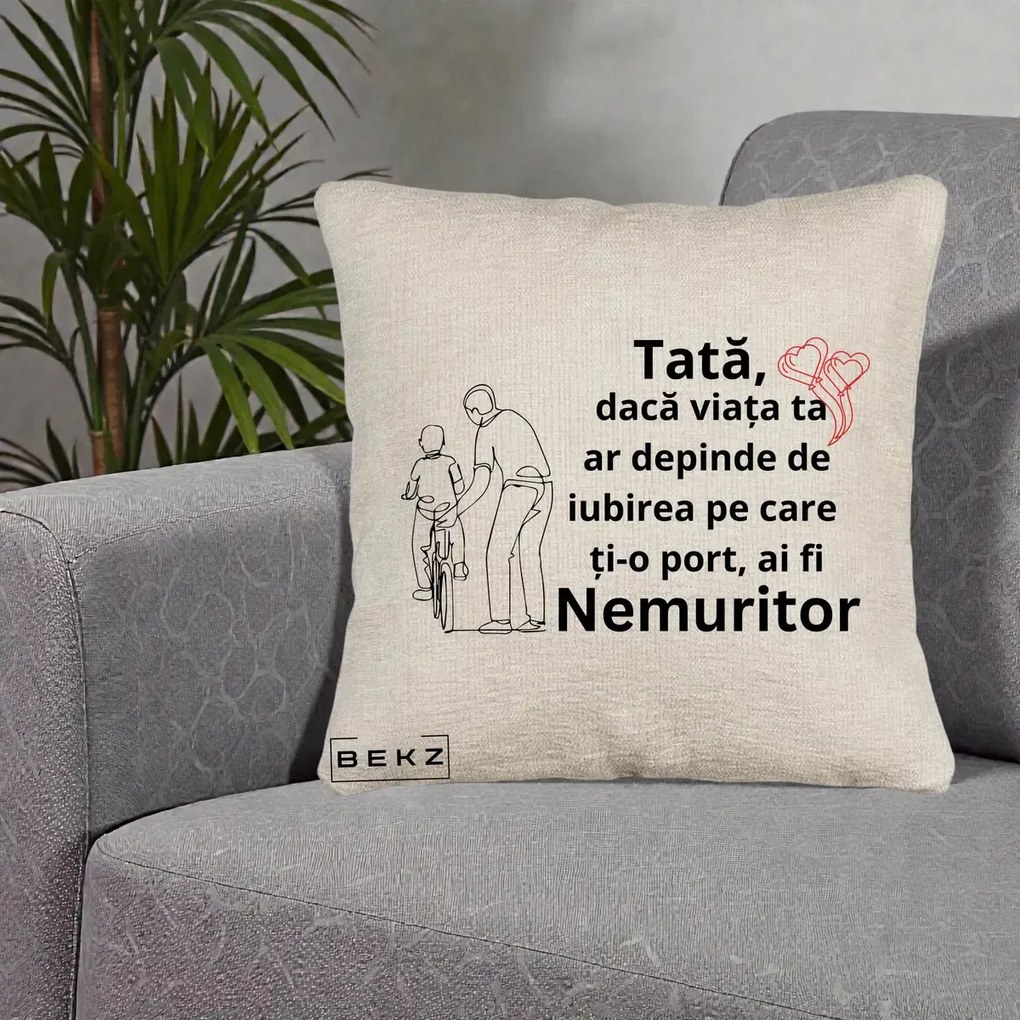 Cadou pentru Tata - Perna Personalizata Tata Nemuritor Bicicleta, 40x40 cm, Bej Canapea, Husa Detasabila, Perna Inclusa, BEKZ®