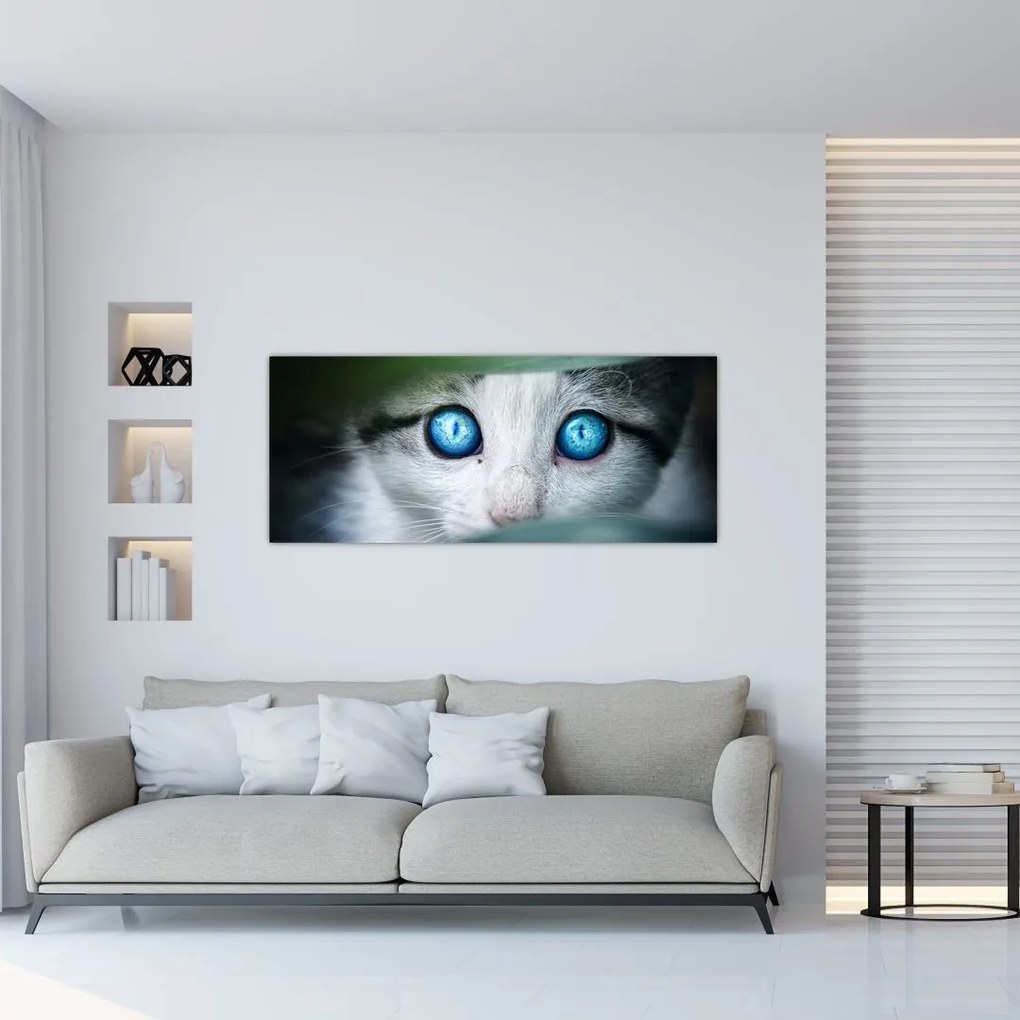 Tablou cu pisica (120x50 cm)