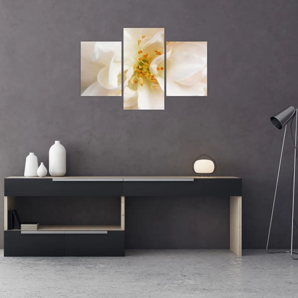 Tablou - Floare (90x60 cm)