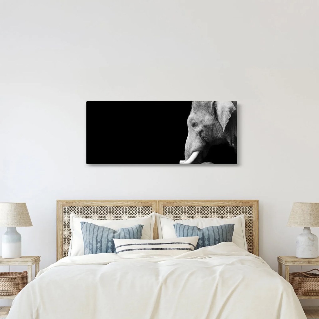 Tablou - Elefant (120x50 cm)