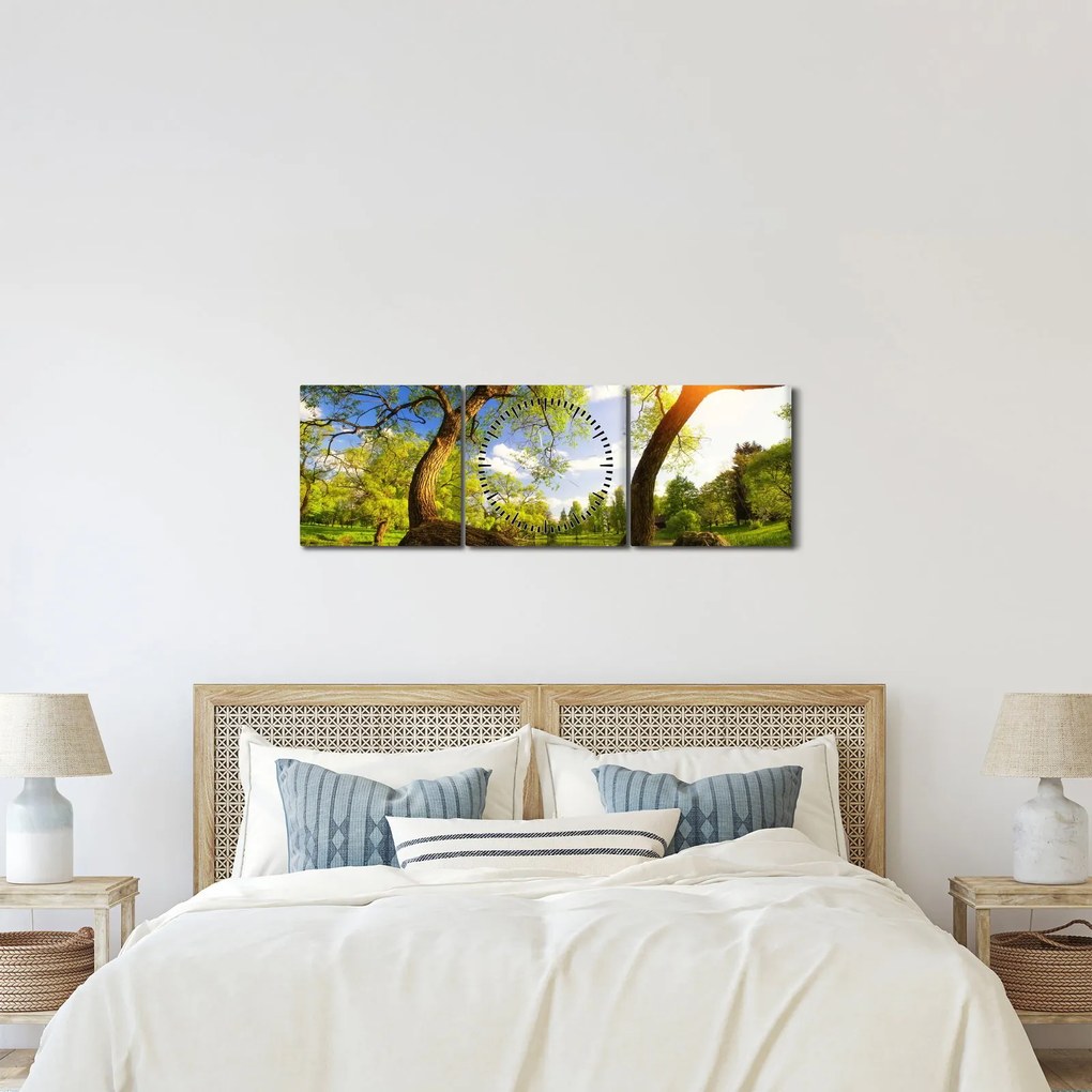 Tablou lunca ne primăvară (cu ceas) (90x30 cm)