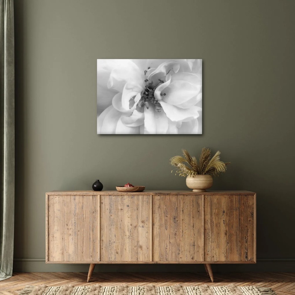 Tablou - Floare,alb-negru (70x50 cm)